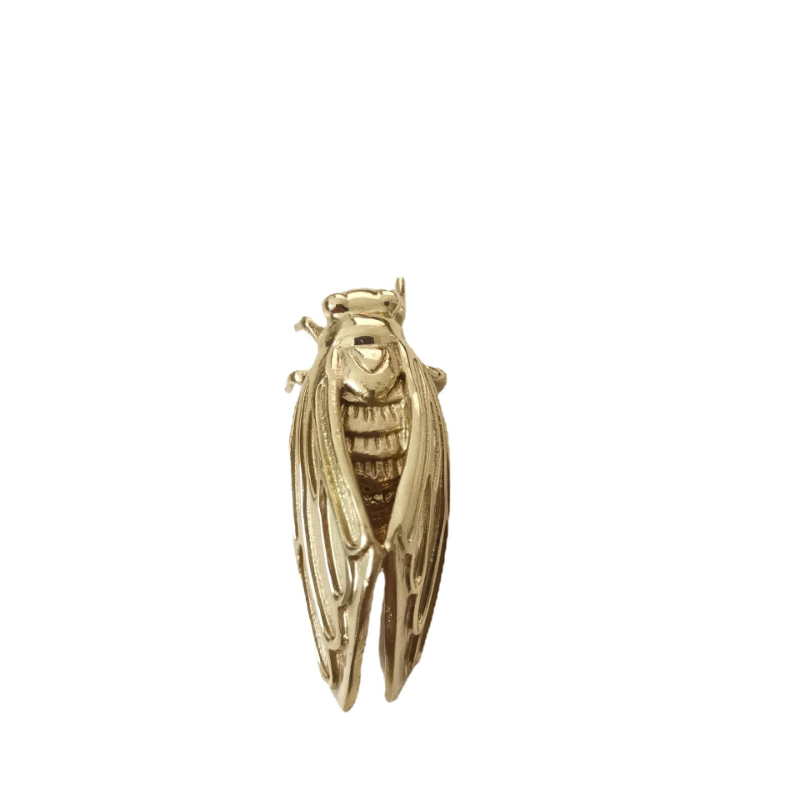 Brass Cicada Hardware Handle B - Unique Furniture Hardware recensie en prijs